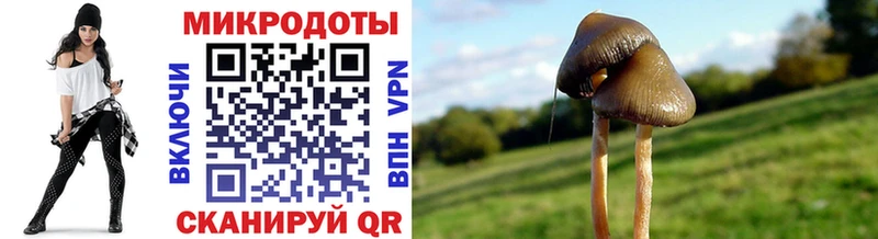 Псилоцибиновые грибы MAGIC MUSHROOMS  ОМГ ОМГ tor  Старая Русса 