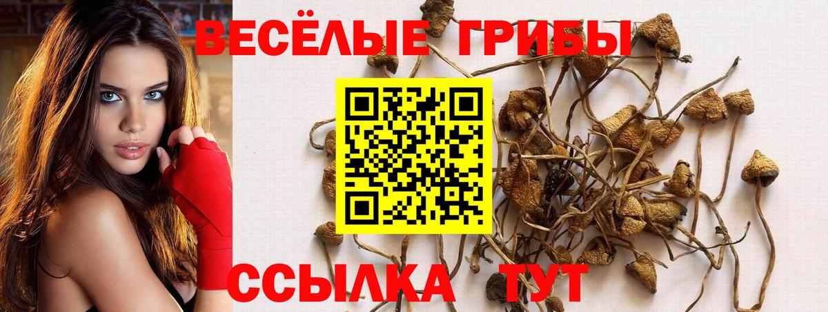 Галлюциногенные грибы прущие грибы Старая Русса