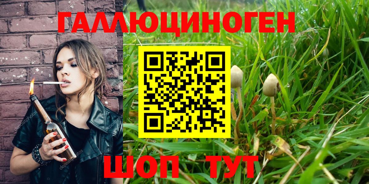 Старая Русса  Псилоцибиновые грибы мицелий  Вход с VPN 