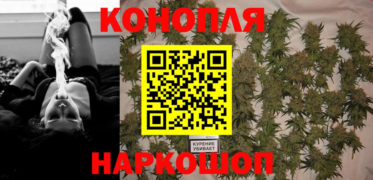 Конопля марихуана Старая Русса